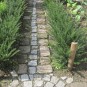 Taxus bacc. 'Renkes Kleiner Grüner'