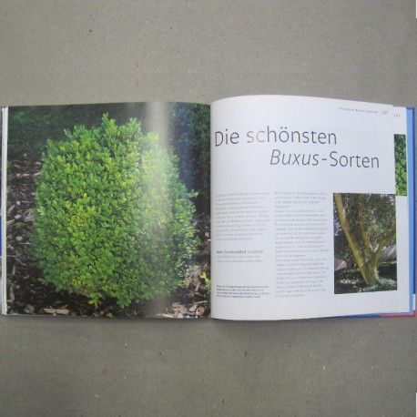 "Das große Buch vom Buchs"